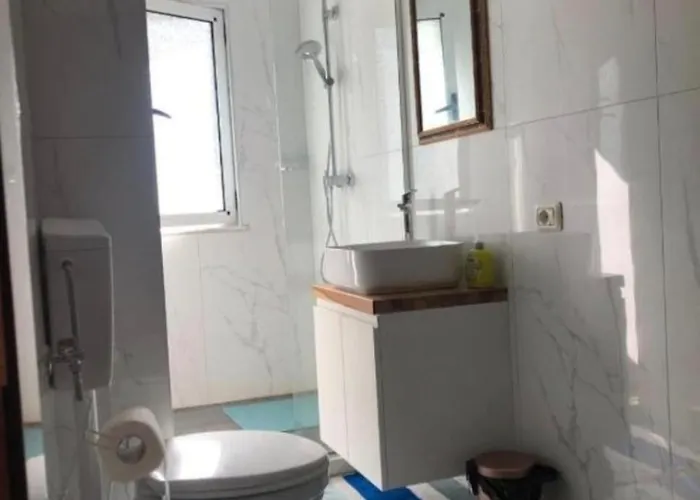 Arkle 4 * Тирана